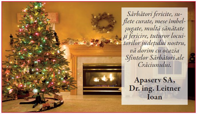 Felicitări Crăciun instituţii/firme SATU MARE