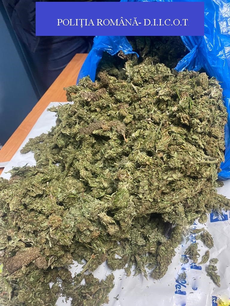 REȚINUȚI PENTRU TRAFIC DE DROGURI DE RISC