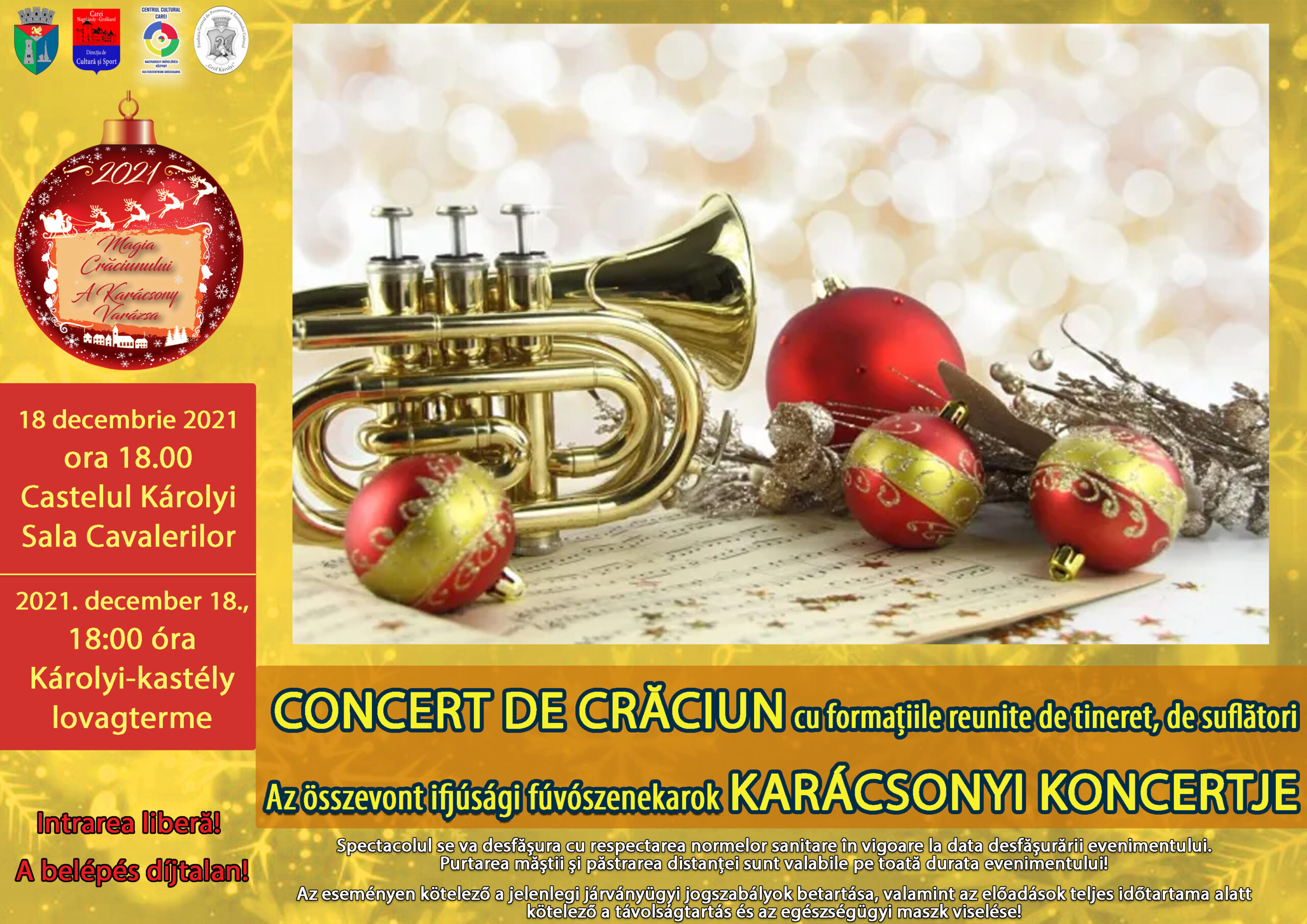 Spectacol de excepție la Carei, în acest weekend