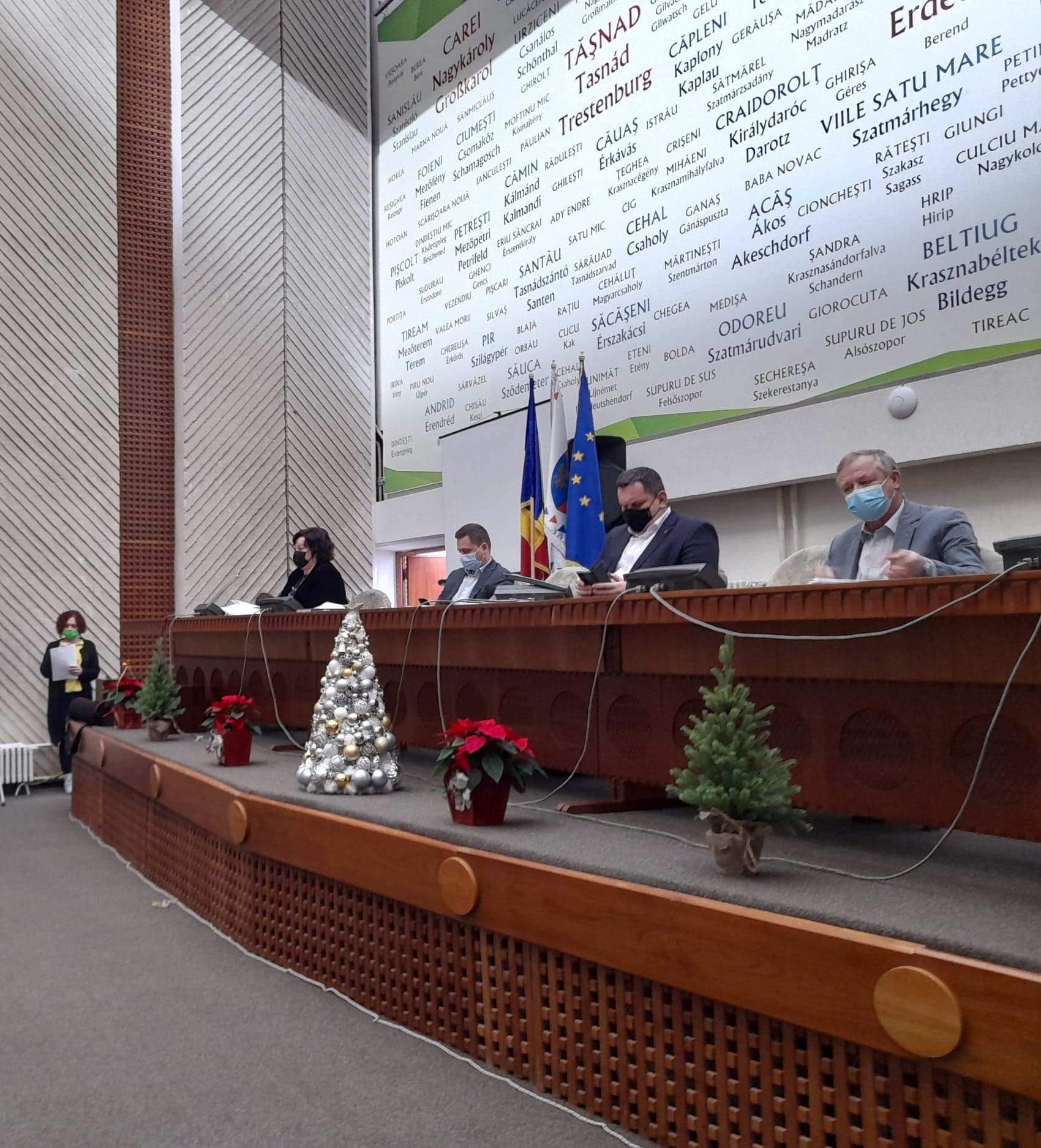 ALEGERI. A fost ales un nou reprezentant al Consiliului Județean Satu Mare în CJRAE