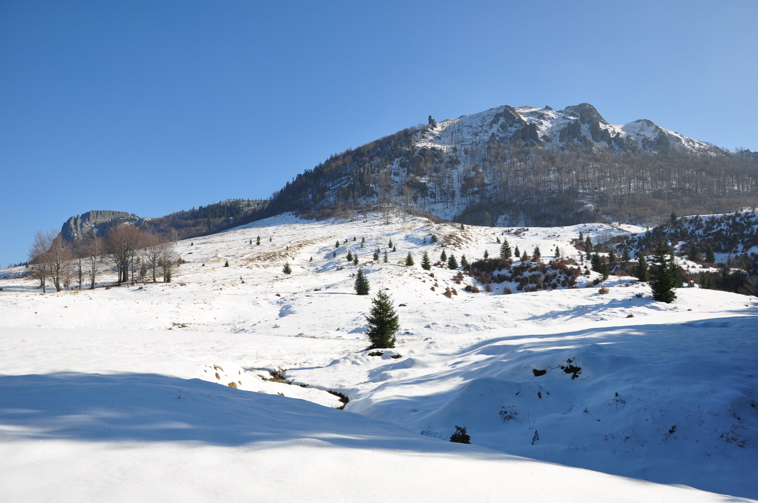 Destinaţii de weekend.  Rezervaţia Creasta Cocoşului – fortăreaţa naturală de o rară sălbăticie, dar în același timp şi de o fascinantă frumuseţe