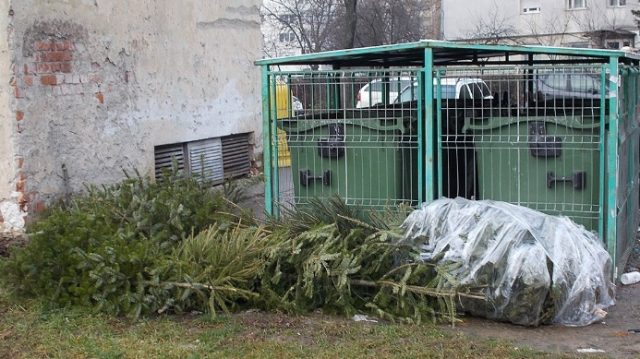 Factura la Florisal crește, în special pentru colectarea separată