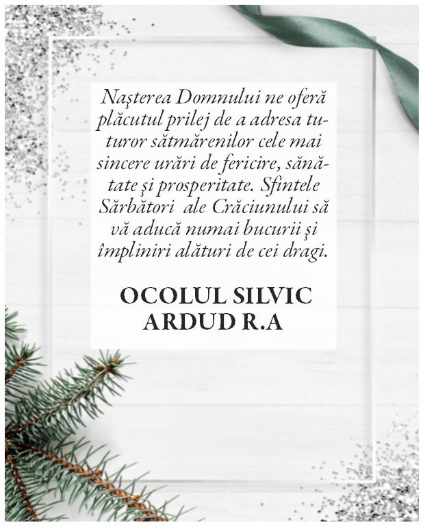 Felicitare Crăciun - Ocolul Silvic Ardud R.A.