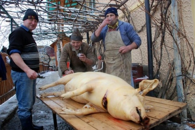 Boală cu potențial letal,  eradicată în județ