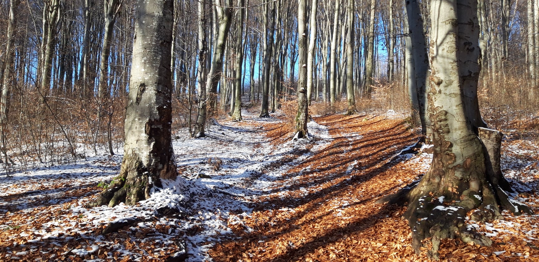 Munții Oașului - frumuseți regăsite!