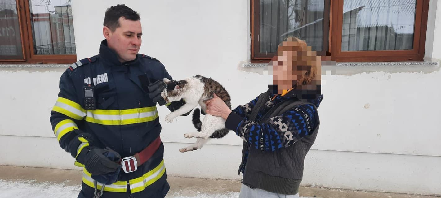 O intervenție mai deosebită, pisică salvată dintr-un copac