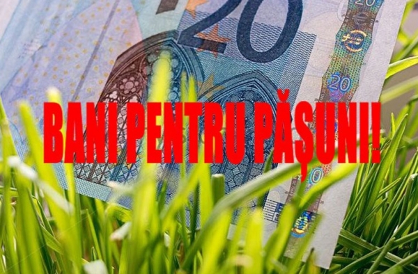 ATENȚIE!!! Subvenția APIA pe pășune ÎNCASATĂ doar în anumite CONDIȚII!