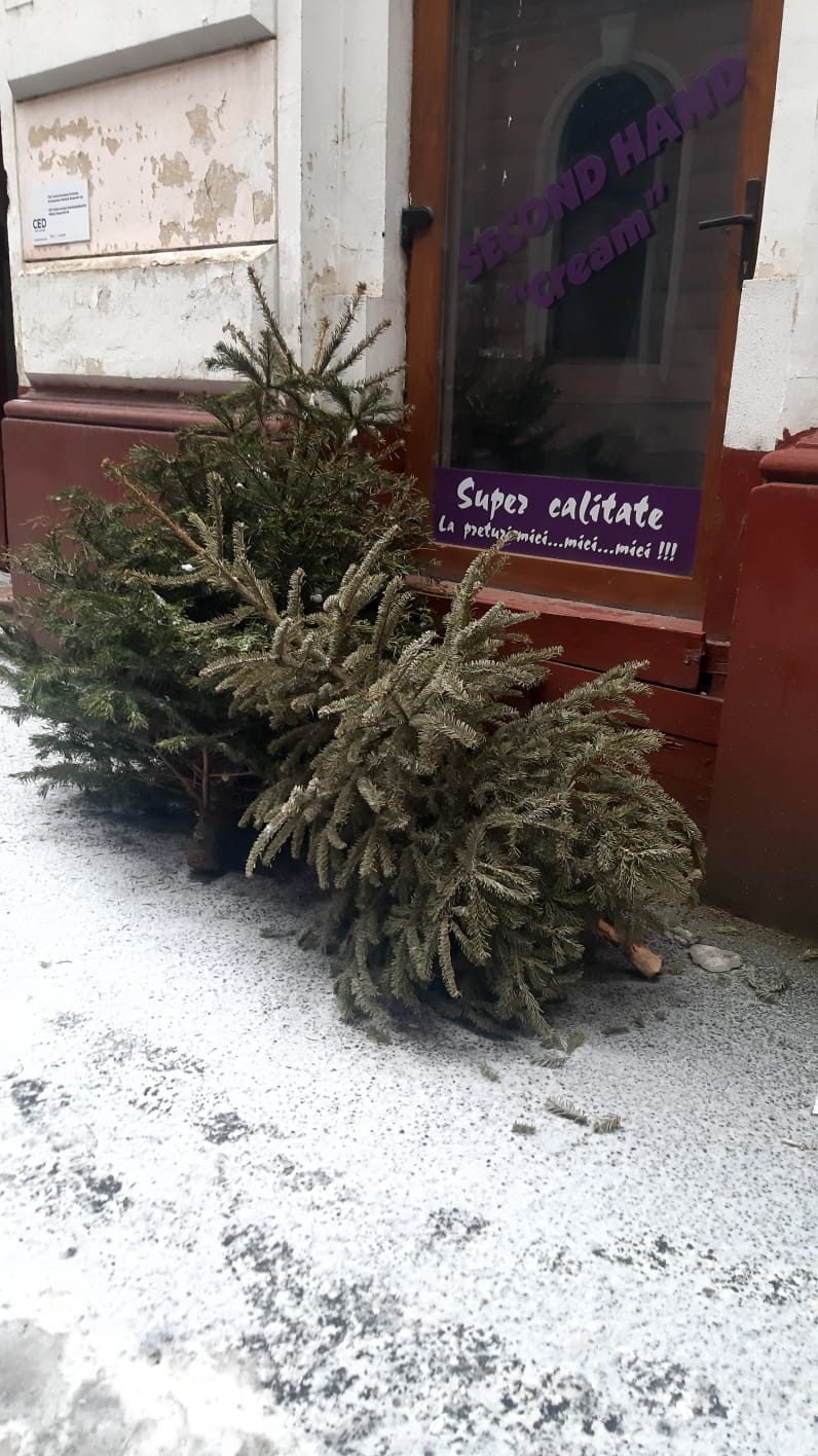 Brazi second hand... super calitate