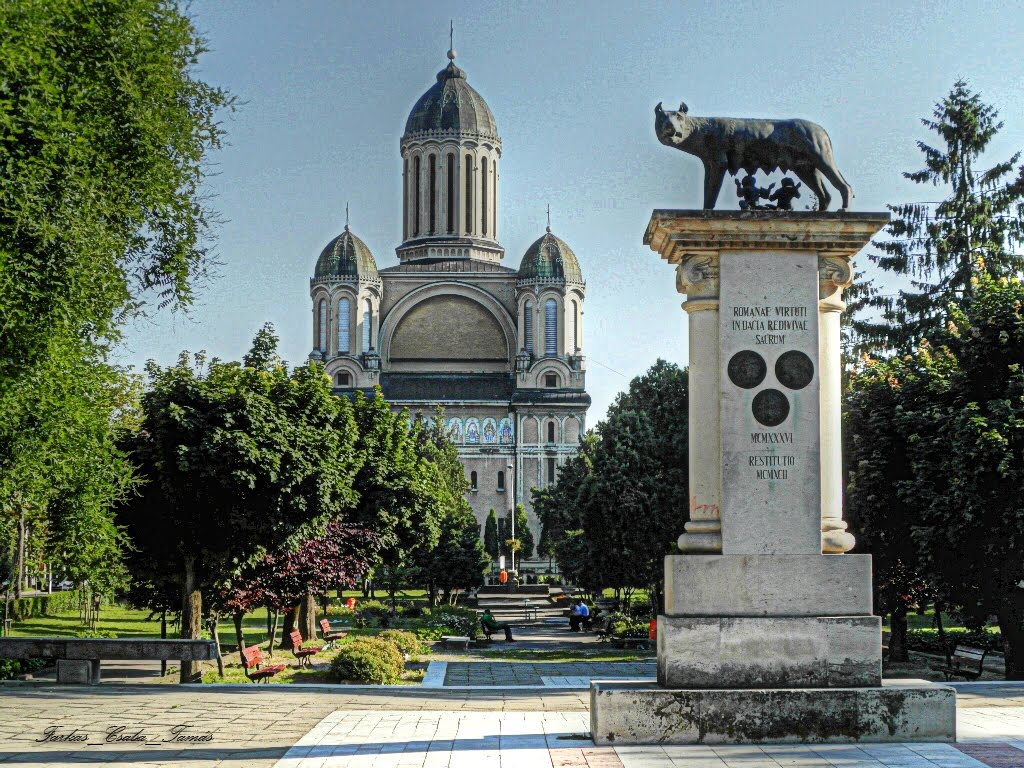 Ce similitudini există între „Lupoaicele” din Satu Mare și Timișoara?