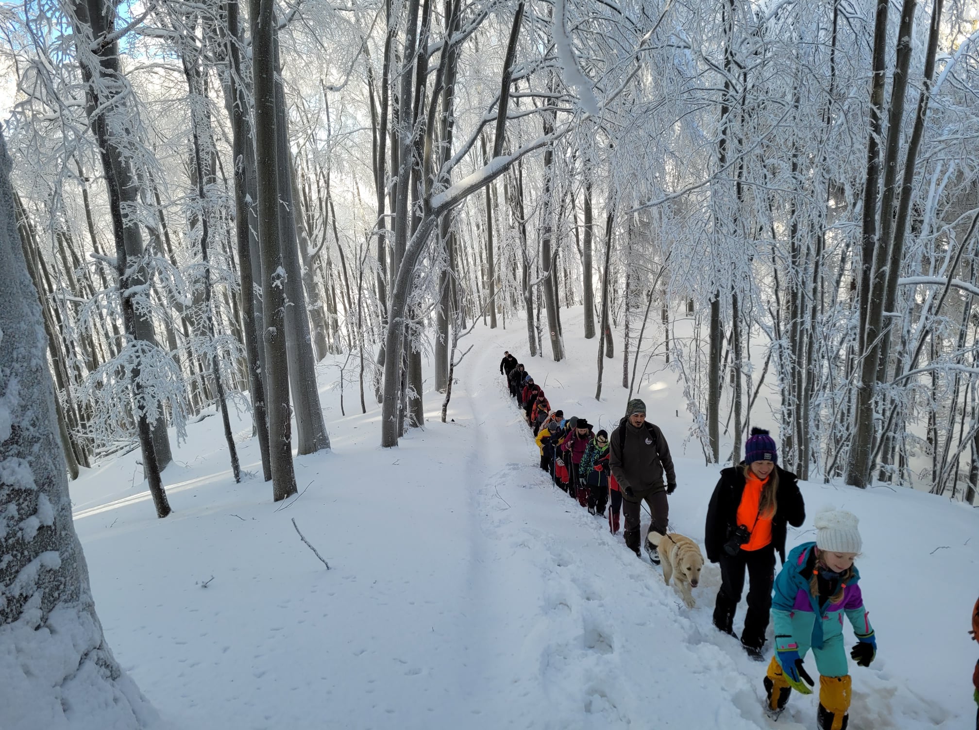 Aflăm de la Salvamont Satu Mare