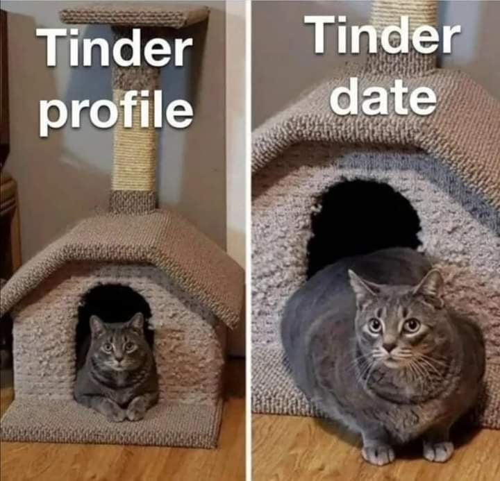 Când pozezi în model...