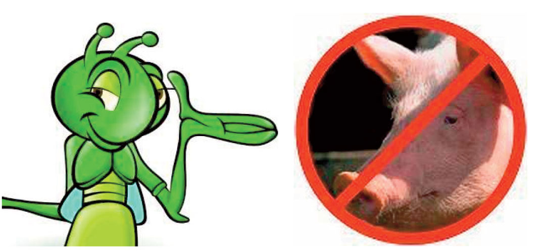 La Crăciunul viitor vom tăia porcul… de pe listă și ne apucăm de cârnați de greier!