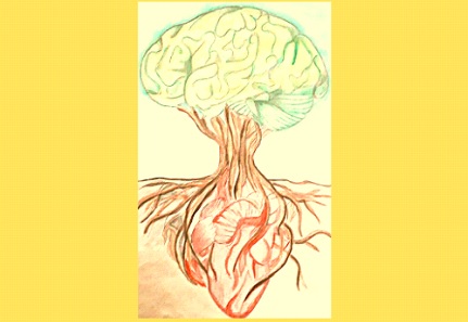 A fost desemnat câștigătorul concursului ”Copacul Încrederii” de la CN ”Mihai Eminescu”