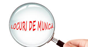 Agenția Județeană pentru Ocuparea Forței de Muncă Satu Mare oferă 221 locuri de muncă vacante
