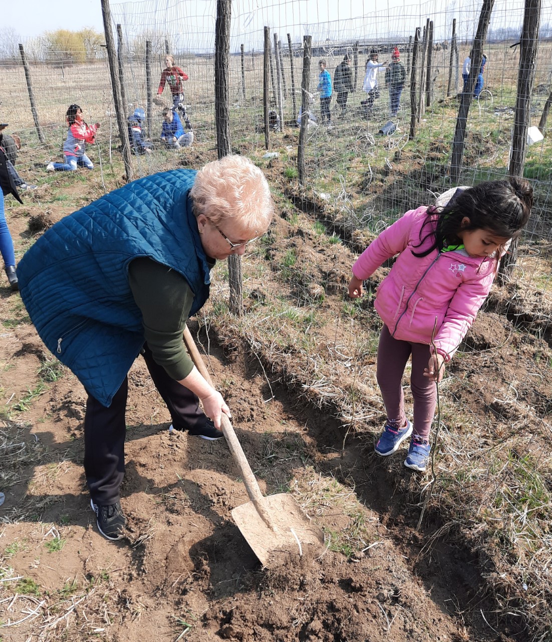 GALERIE FOTO. Campanie de plantări organizată de Asociația ,,Copacul vieții,,