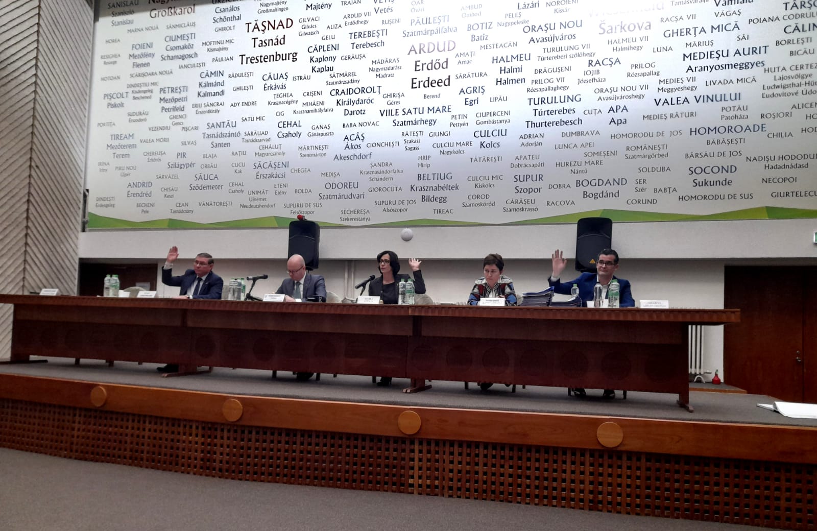 DEZVOLTARE. Consiliul Local Satu Mare a votat proiecte importante care vizează educația, sănătatea și comfortul social al sătmărenilor