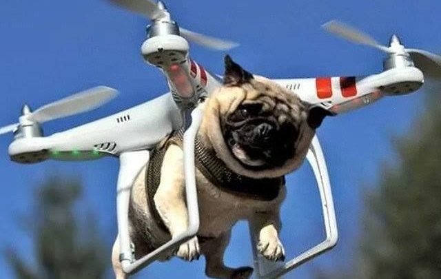 Glume cu și despre drone...