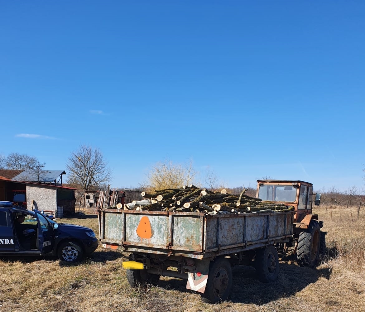 Transport ilegal de lemne sancţionat de jandarmi cu 10000 lei