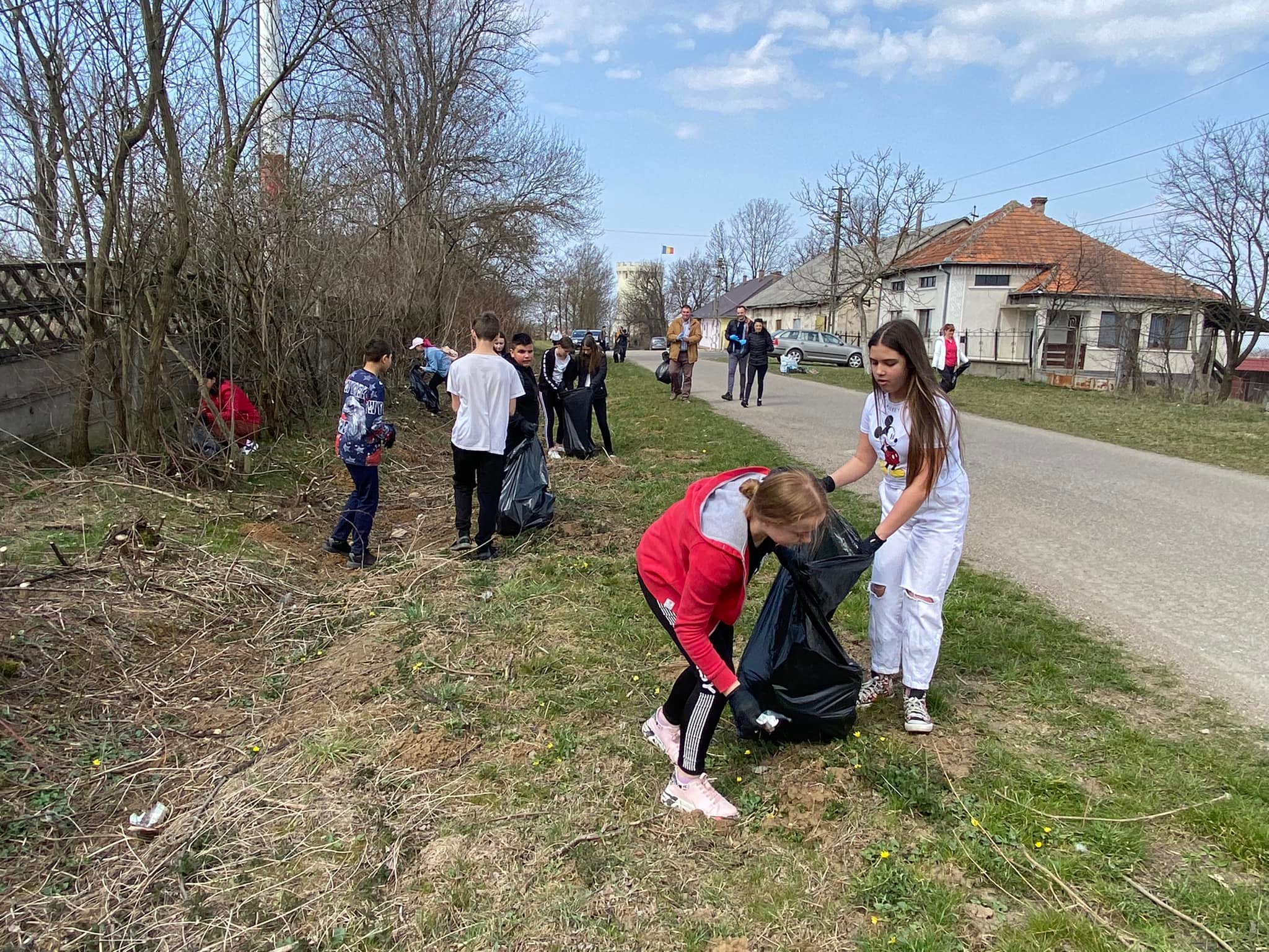 Tinerii din Ardud au curățat orașul  de deșeuri