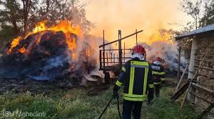 Mai bine mor,  decât să înțeleagă