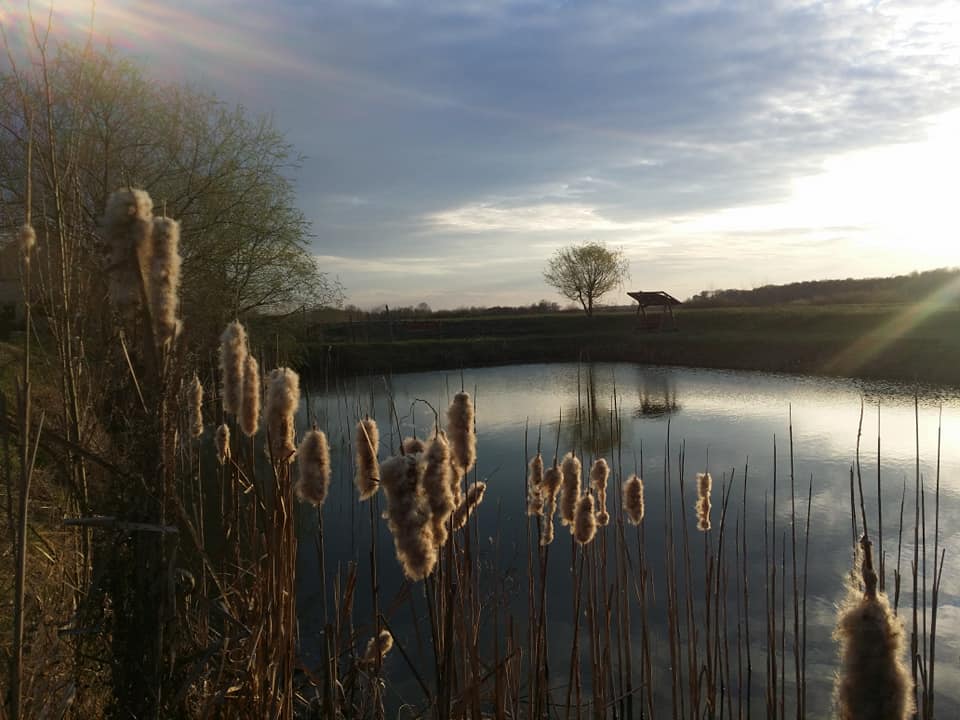 Câmpia Nirului – Valea Ierului una dintre cele mai spectaculoase arii protejate din România
