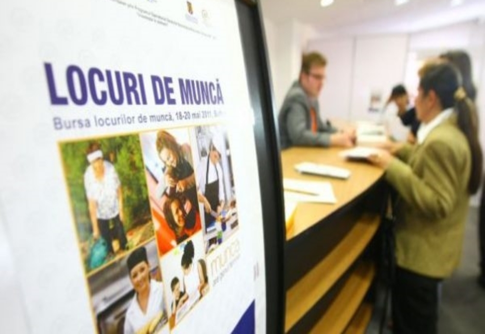 Bursa locurilor de Muncă la Satu Mare