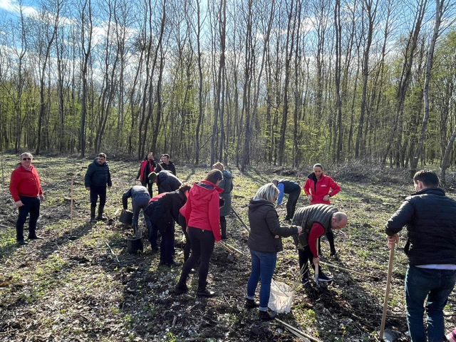 Reîmpădurire / PSD pentru o Românie verde!