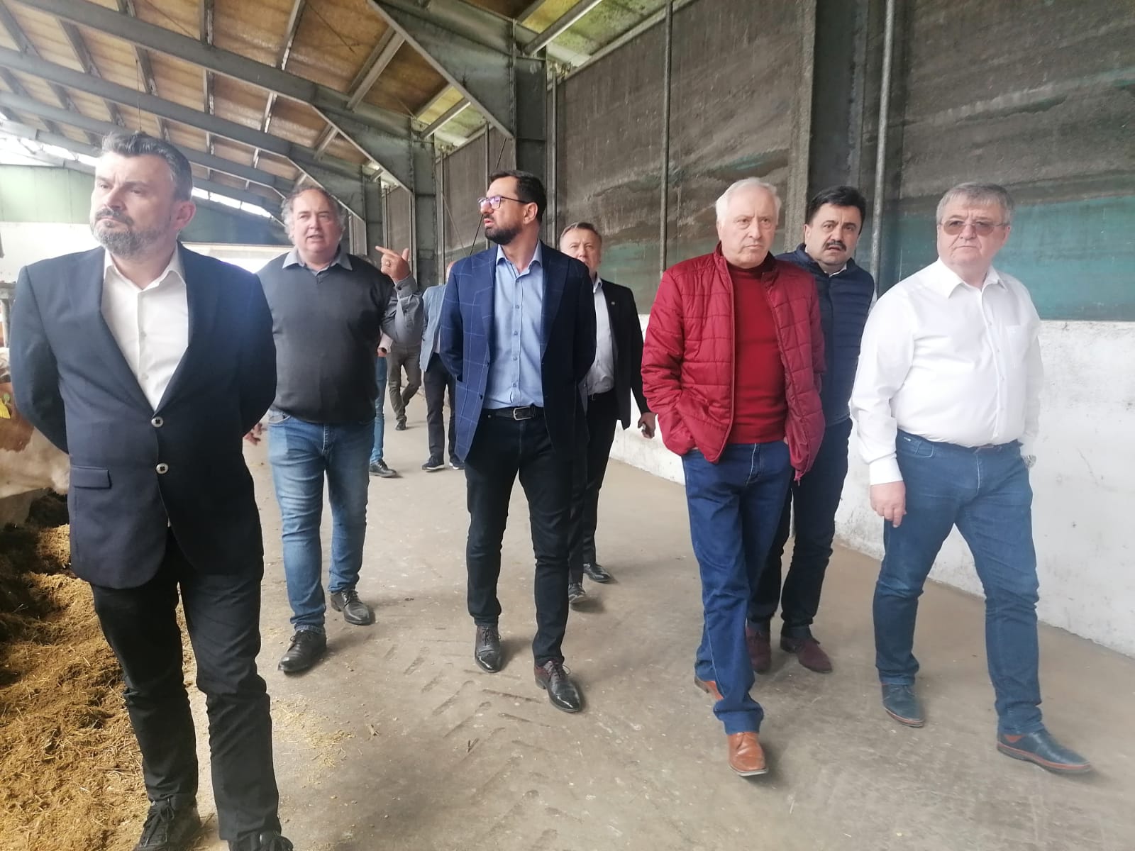 Ministrul Agriculturii,  Adrian Chesnoiu, a vizitat o fermă de bovine din Halmeu