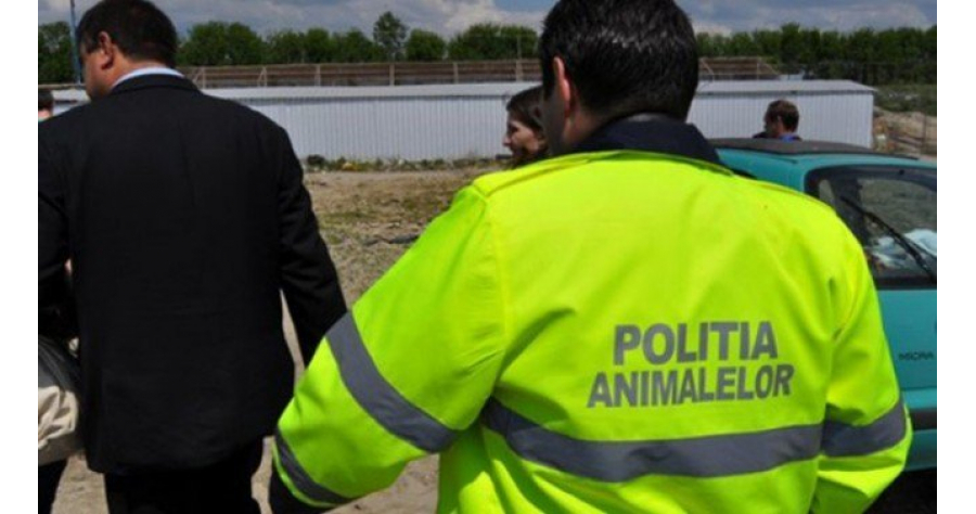 Opt dosare penale întocmite la Satu Mare pentru uciderea de animale