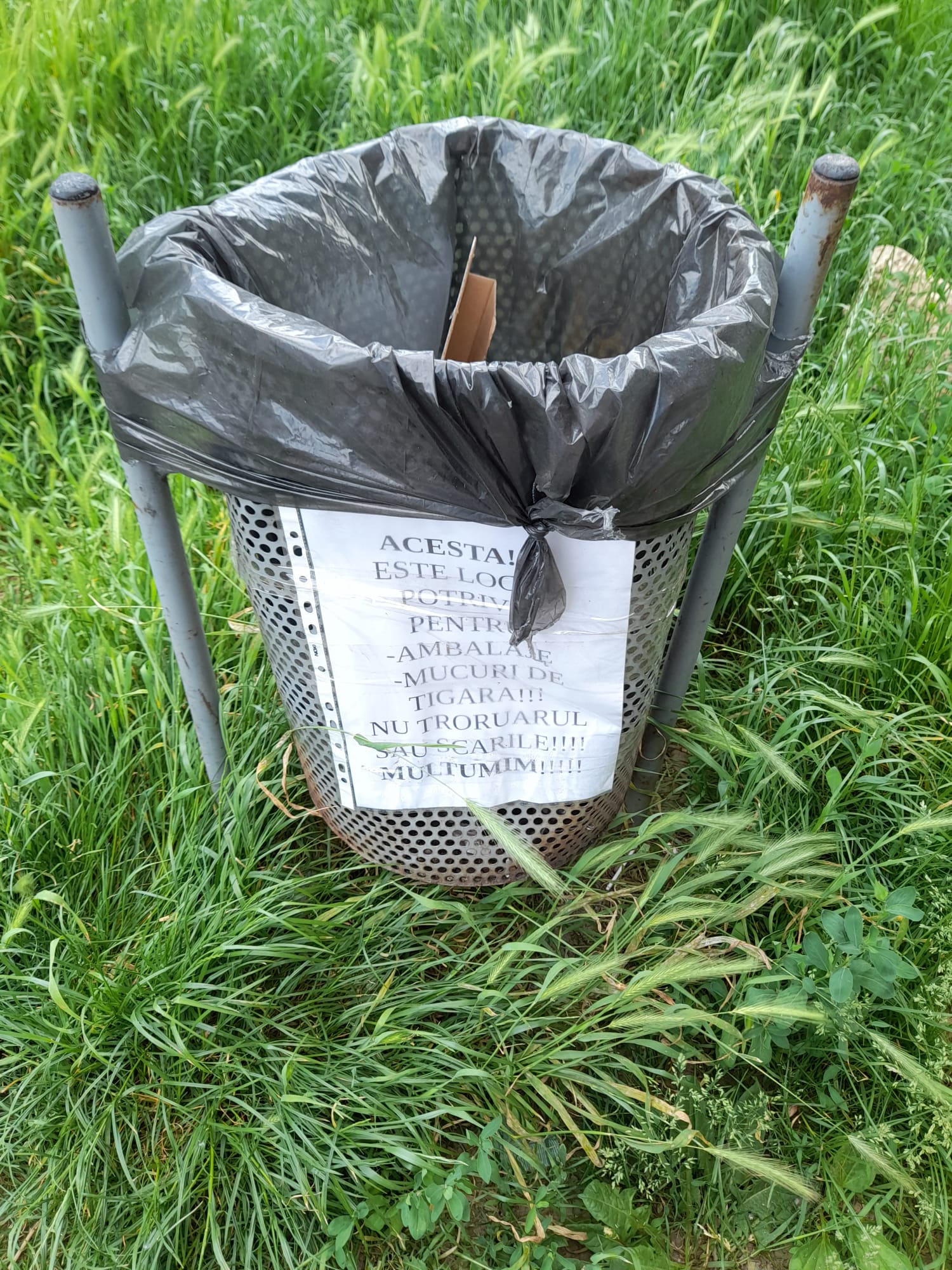 Cei 7 ani de acasă...