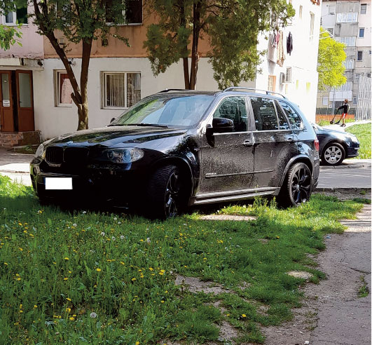 Scoatem caii la păscut