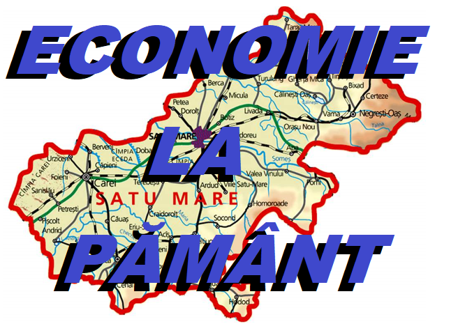 STATISTICĂ. Economia Sătmarului, la pământ