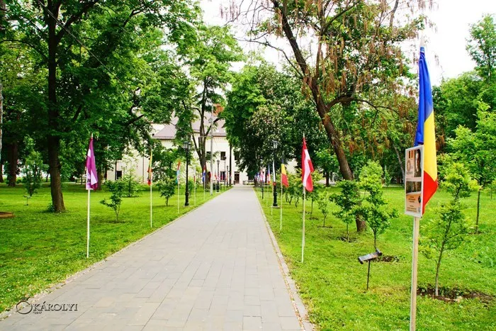 Europa la ea acasă - Carei 2022