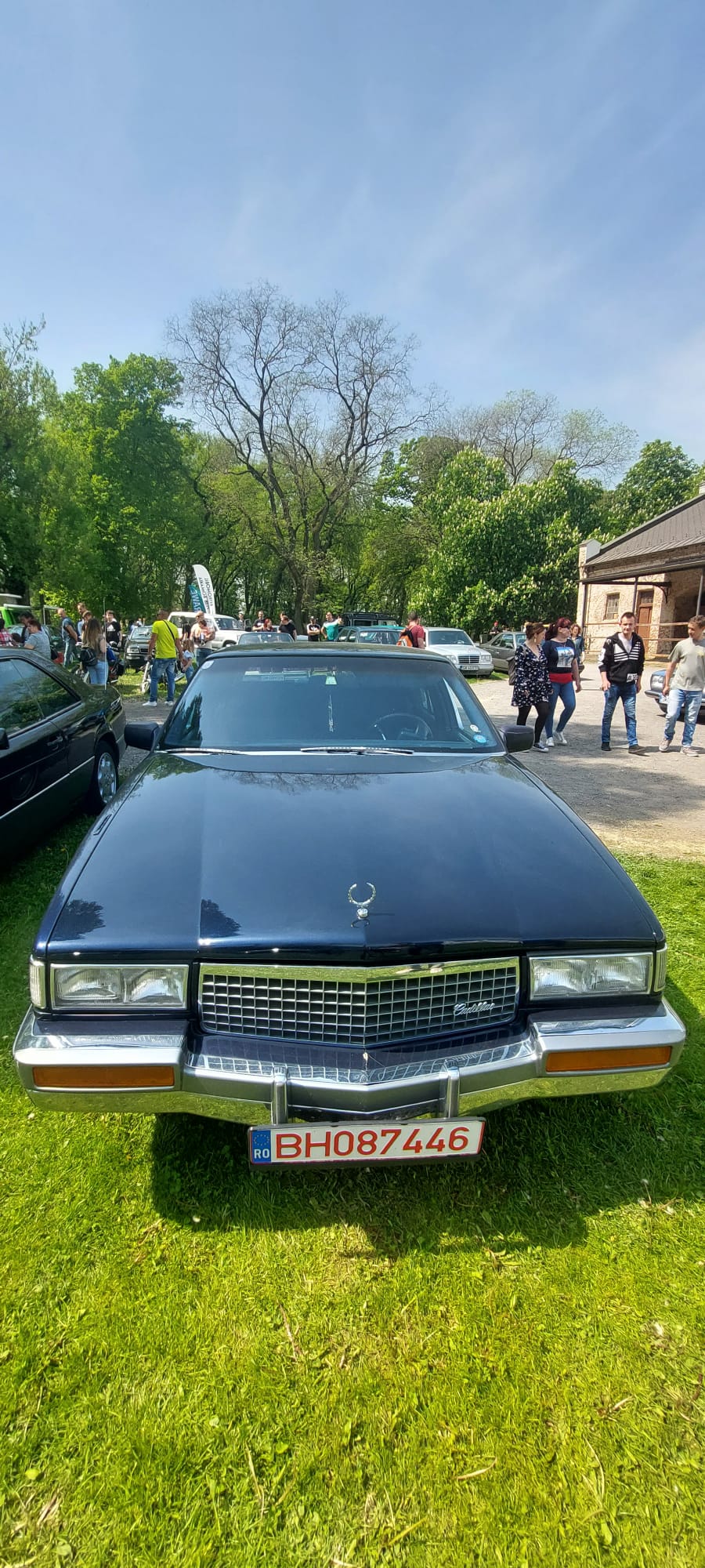 FOTO. Expoziție de mașini de epocă la Carei