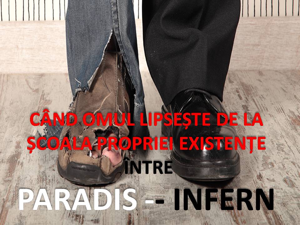 VERTICALI PENTRU ROMÂNIA:  Anestezierea estetică a Lumii