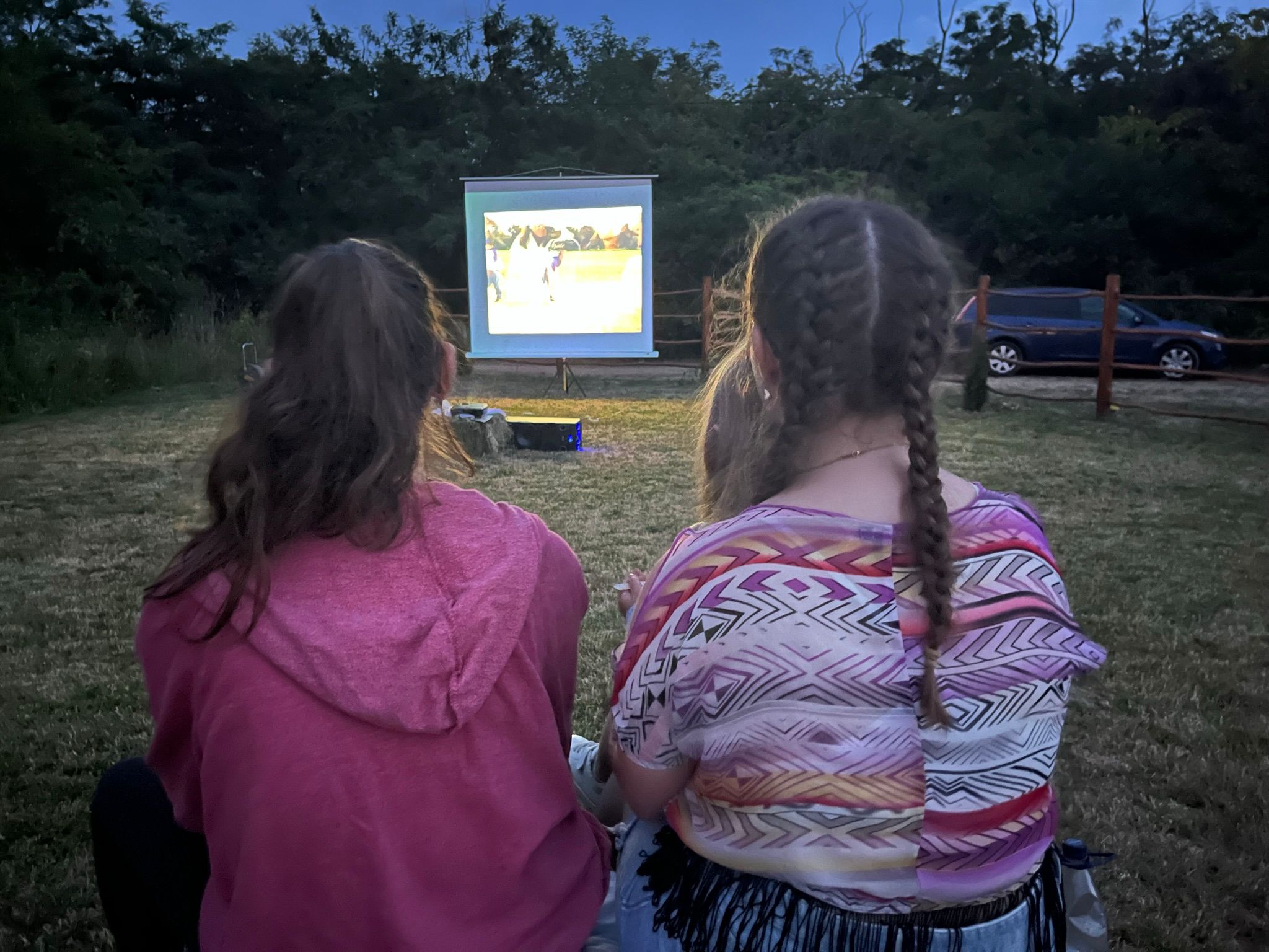 Lavanda LAND, la Ardud