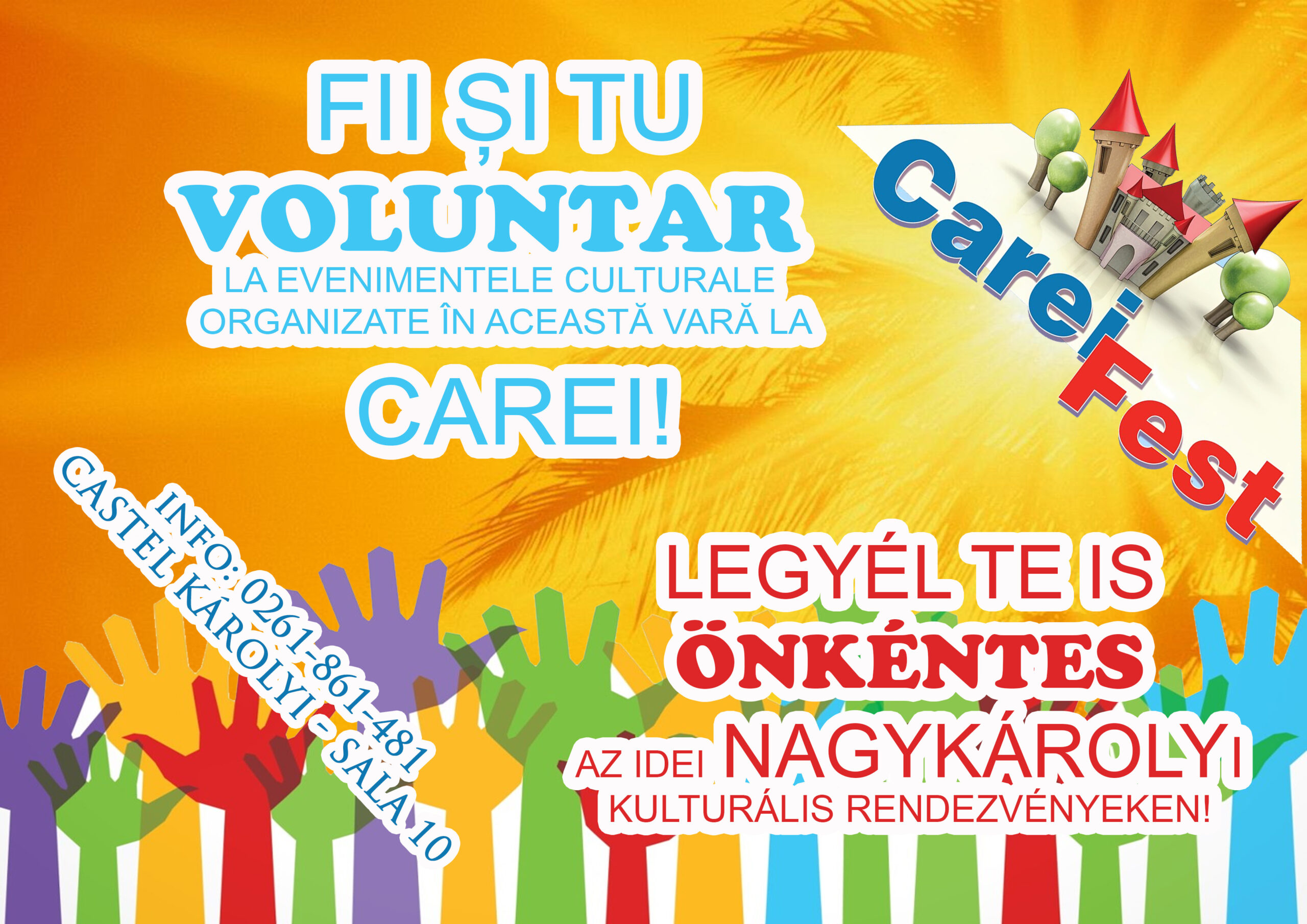 Se caută voluntari la Carei