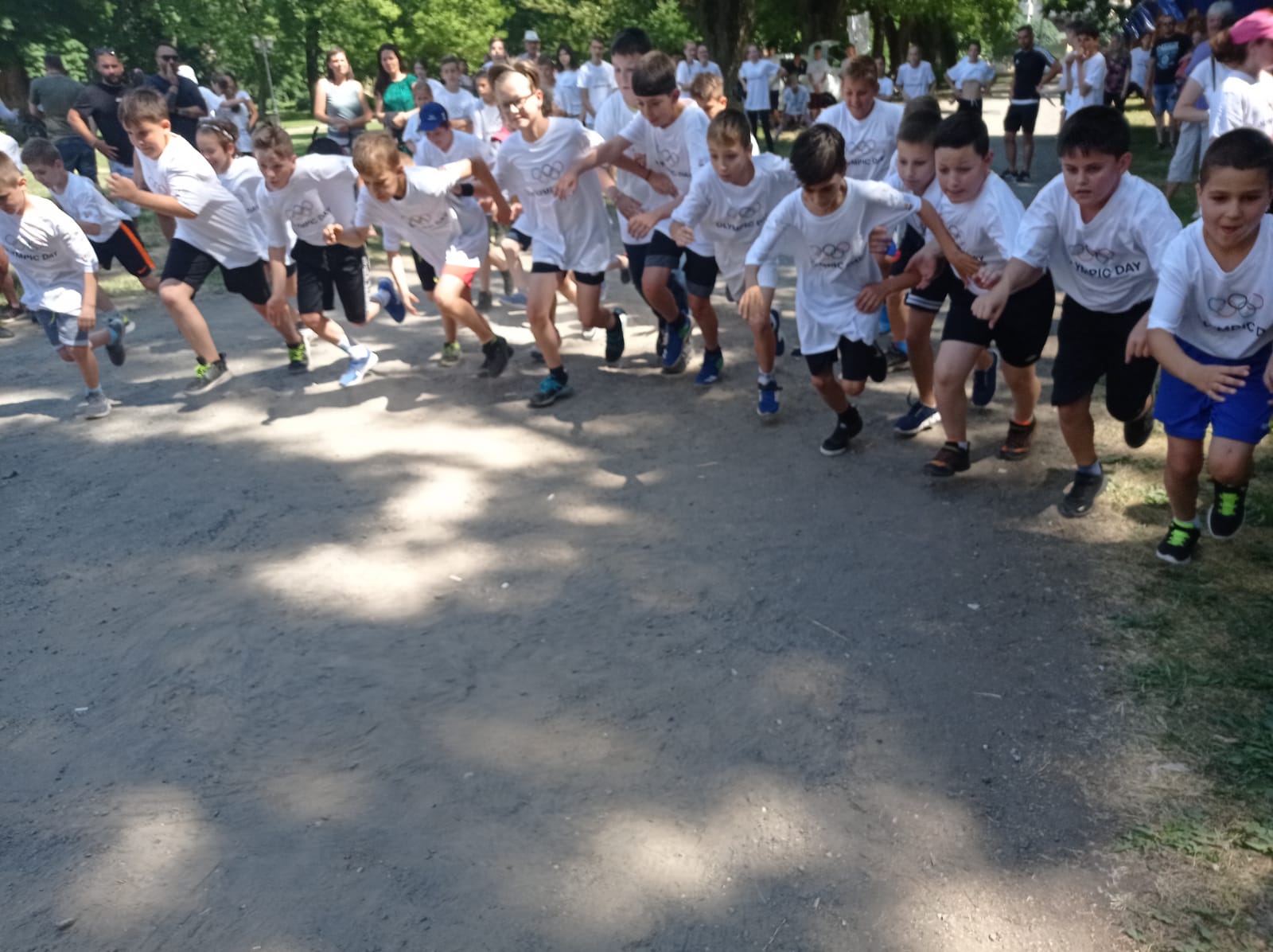 Luna Olimpică, un real succes al Filialei Satu Mare  a Academiei Olimpice Române