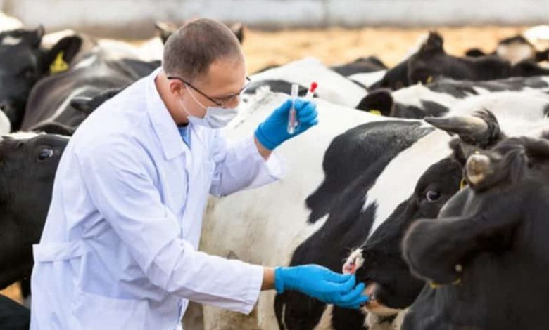 Sănătatea animalelor, prioritate pentru DSVSA Satu Mare!