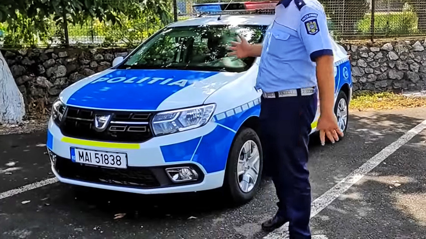 Tăiere ILEGALĂ de arbori. Polițiștii locali au intervenit!