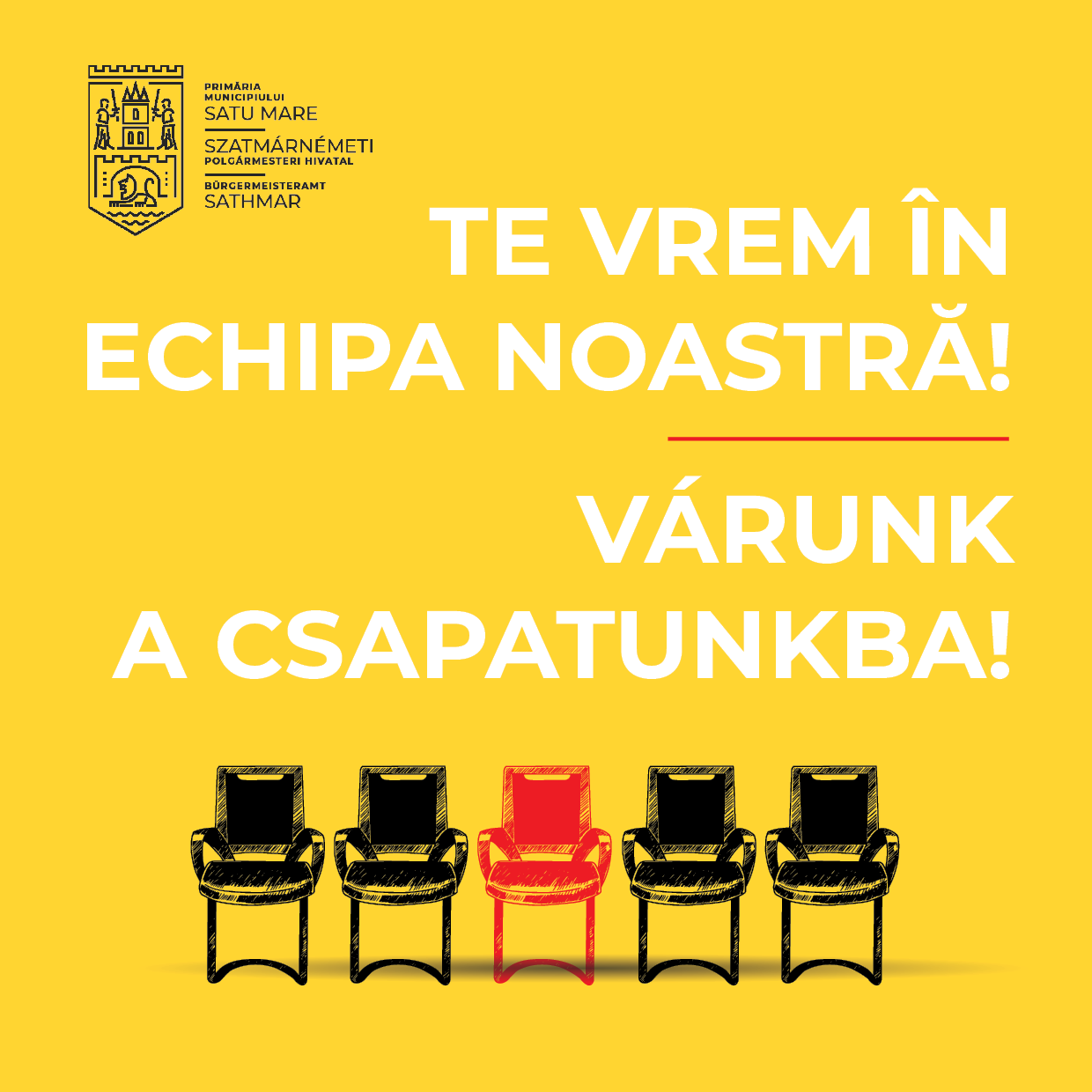 Primăria Municipiului Satu Mare scoate posturi la concurs. De ce documente ai nevoie