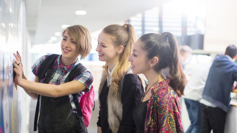 Rezultatele finale înregistrate de absolvenții clasei a VIII-a, după etapa de contestații, în județul Satu Mare