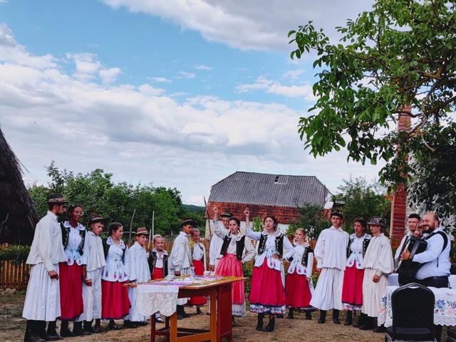 GALERIE FOTO. Ziua Iei sărbătorită de PSD Satu Mare la Muzeul de Artă și Chilia