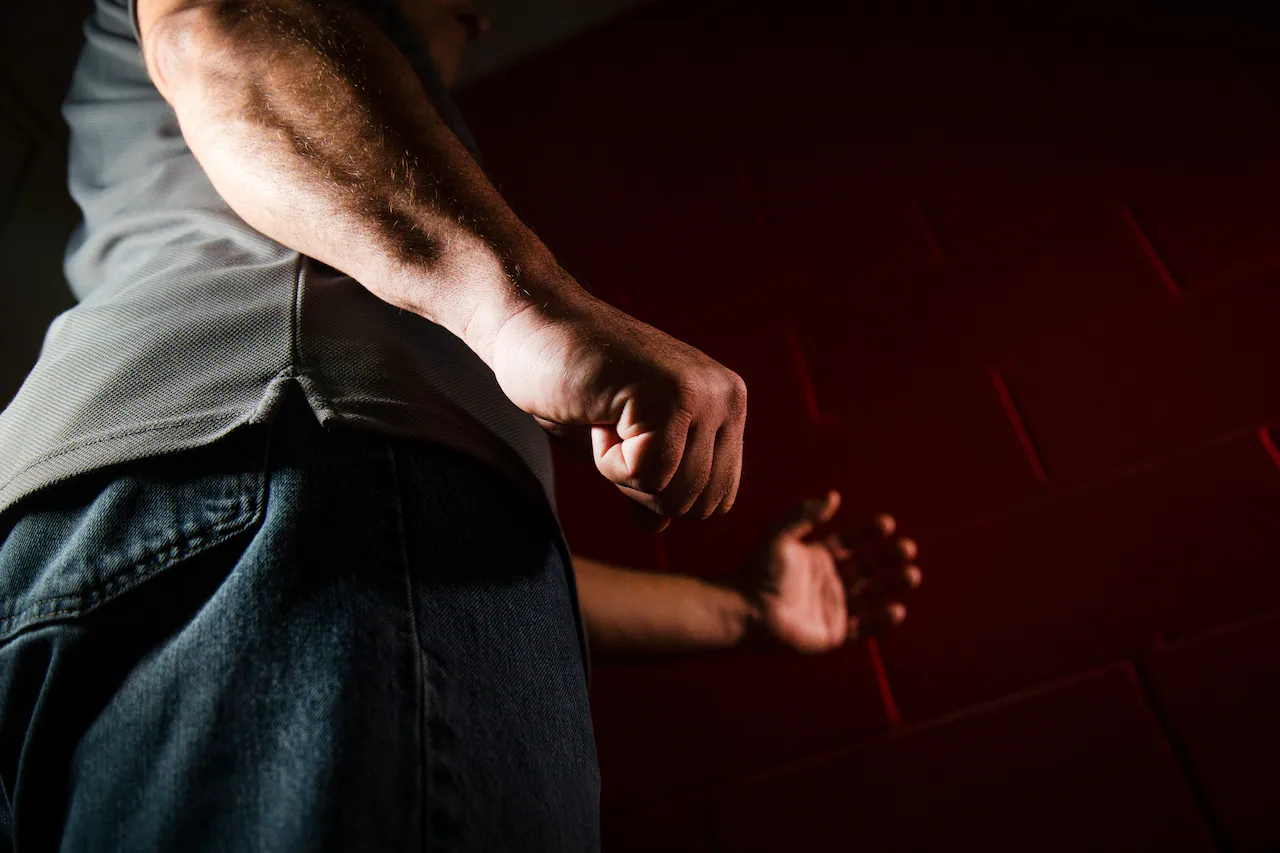 Bărbat de 41 de ani din Carei, identificat de polițiști pentru săvârșirea infracțiunii de lovire