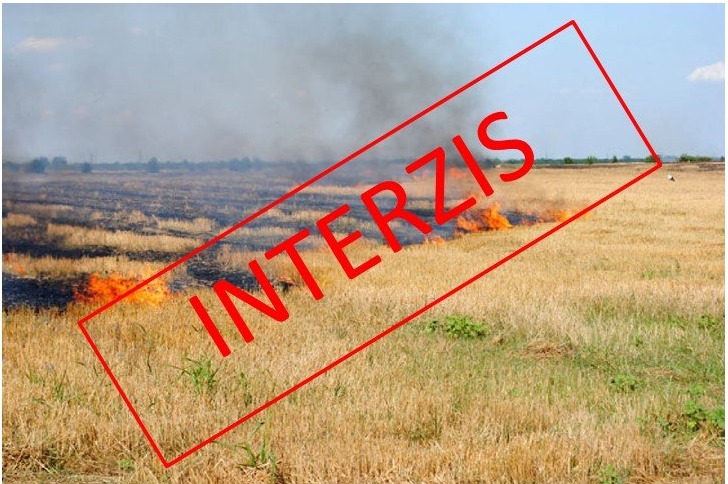 Este interzisă arderea miriștilor și a vegetației uscate. ATENȚIE deosebită la focul deschis în pădure !