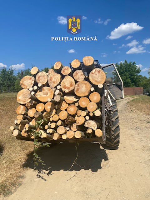 Activități pe linie silvică desfășurate de polițiștii sătmăreni