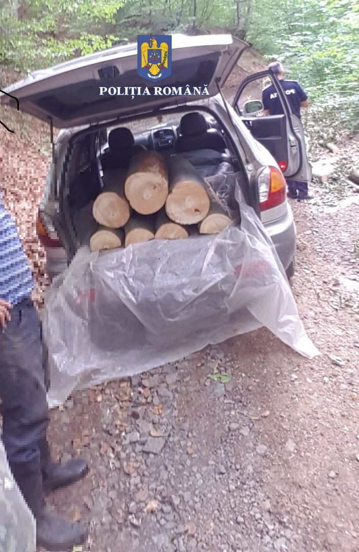 Activități pe linie silvică desfășurate de polițiștii sătmăreni