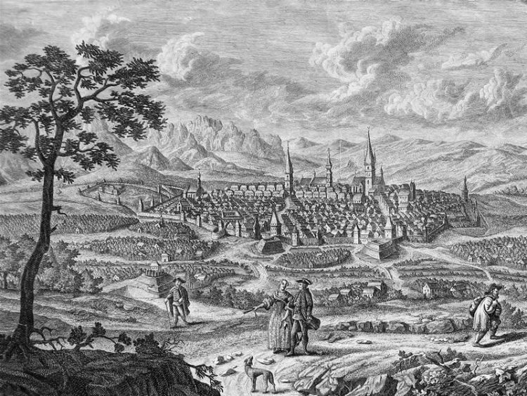 Care erau cele mai importante bresle meșteșugărești ale Sătmarului și ale Mintiu-ului la mijlocul secolului al XVI-lea