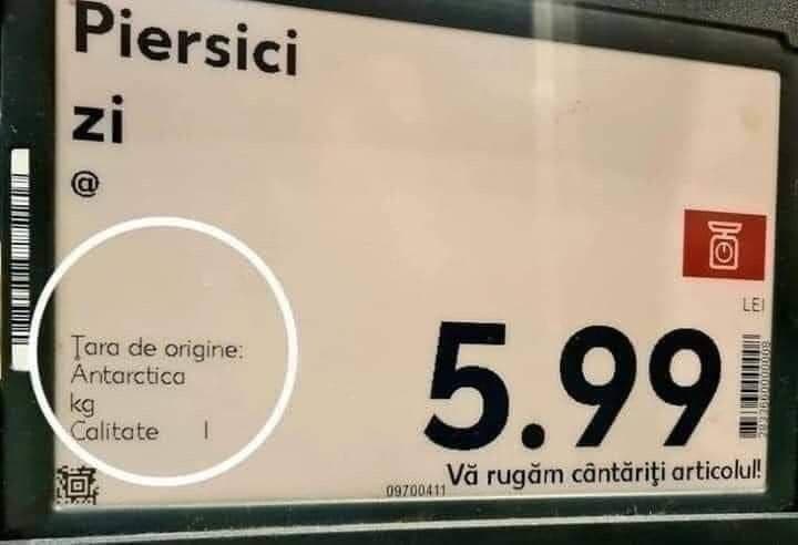 Piersici...  din Antarctica?!