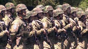 Câţi români vor fi recrutaţi în Armată? Ministrul Apărării a făcut anunțul